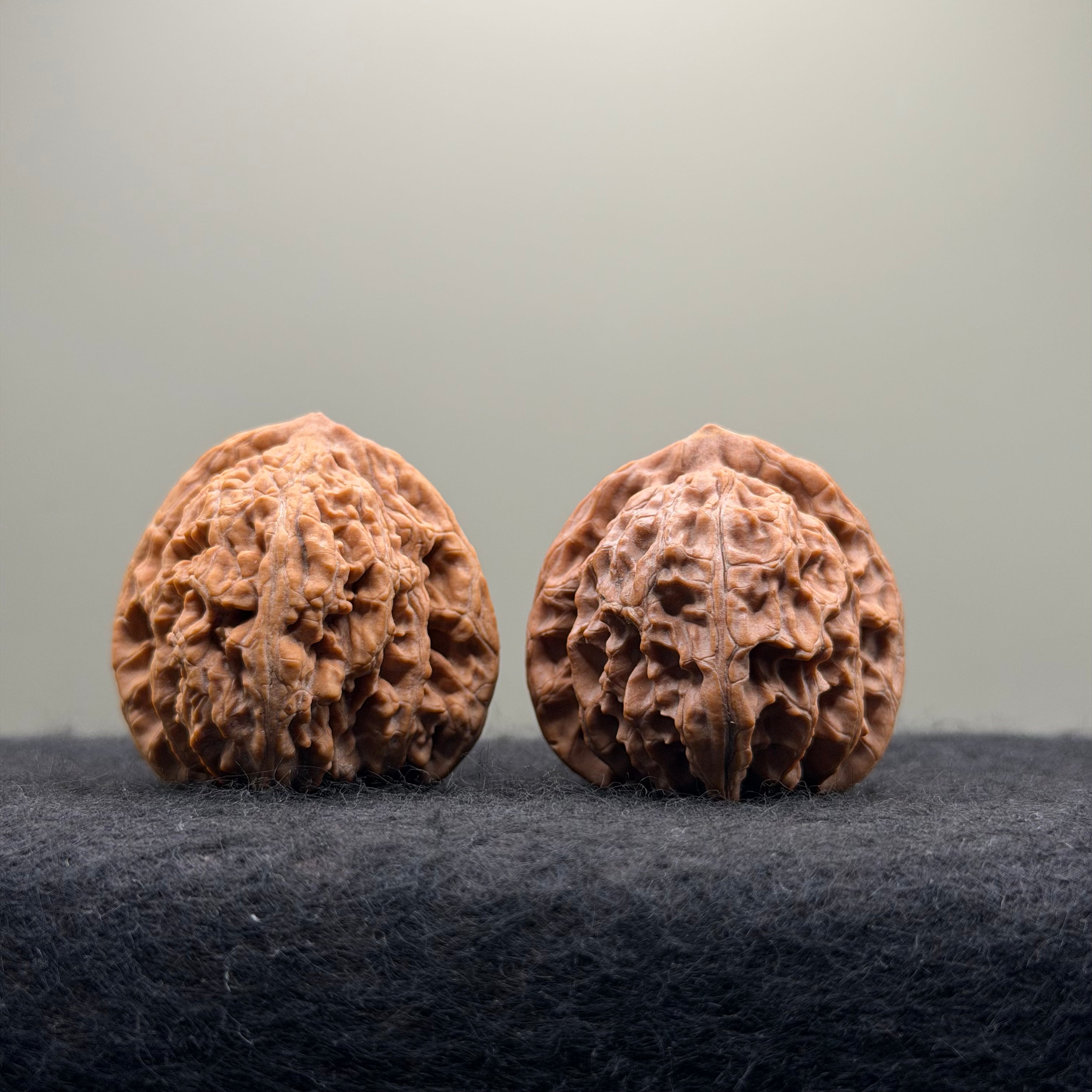 'Sunset Clouds' Wenwan Walnut · 38mm · Entry Ritual