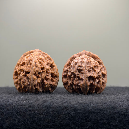 'Sunset Clouds' Wenwan Walnut · 38mm · Entry Ritual