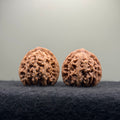 'Sunset Clouds' Wenwan Walnut · 38mm · Entry Ritual