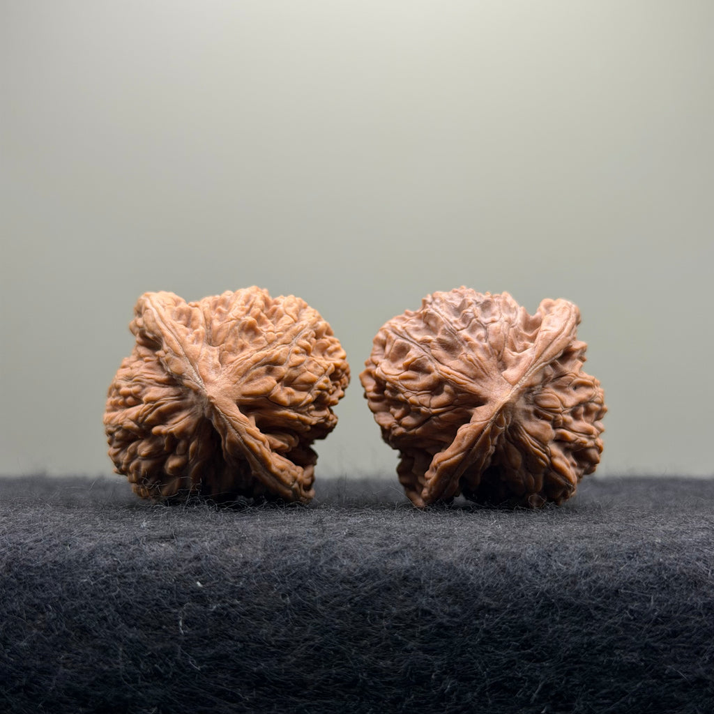 'Sunset Clouds' Wenwan Walnut · 38mm · Entry Ritual