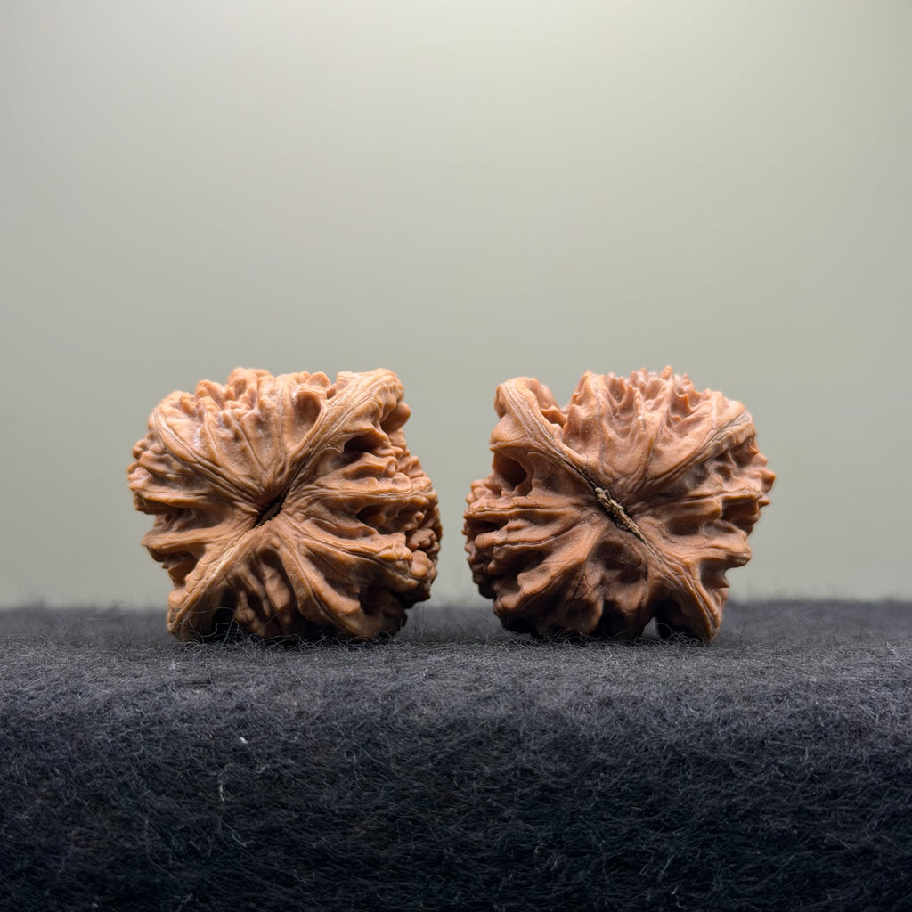 'Sunset Clouds' Wenwan Walnut · 38mm · Entry Ritual