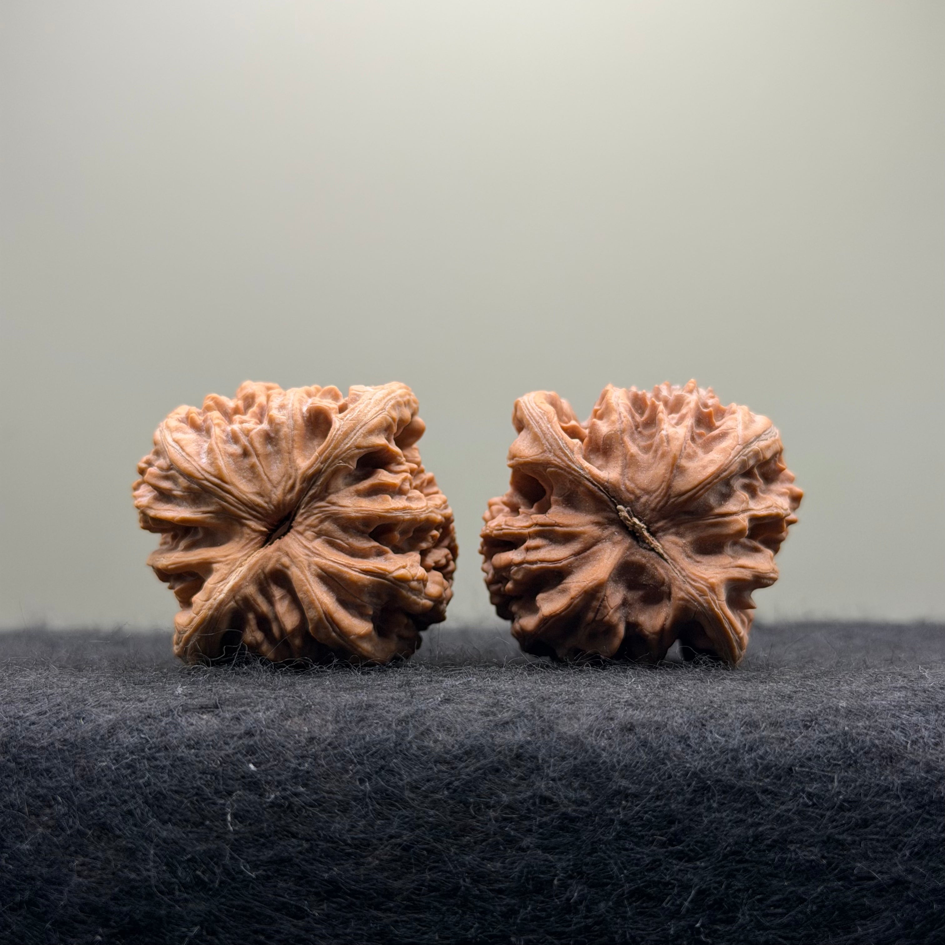 'Sunset Clouds' Wenwan Walnut · 38mm · Entry Ritual