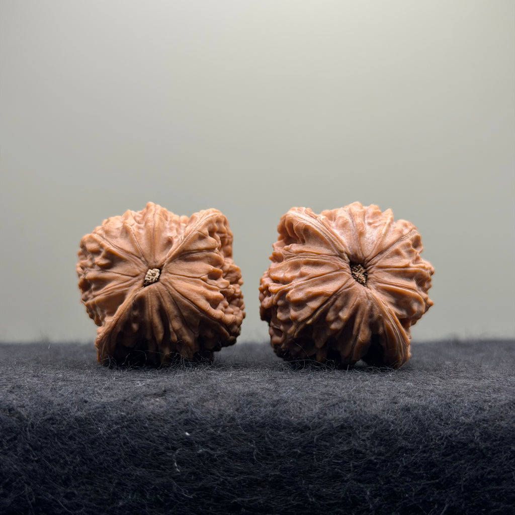 Well-aligned Millstone Wenwan Walnut · 41mm · Natural · Select Ritual