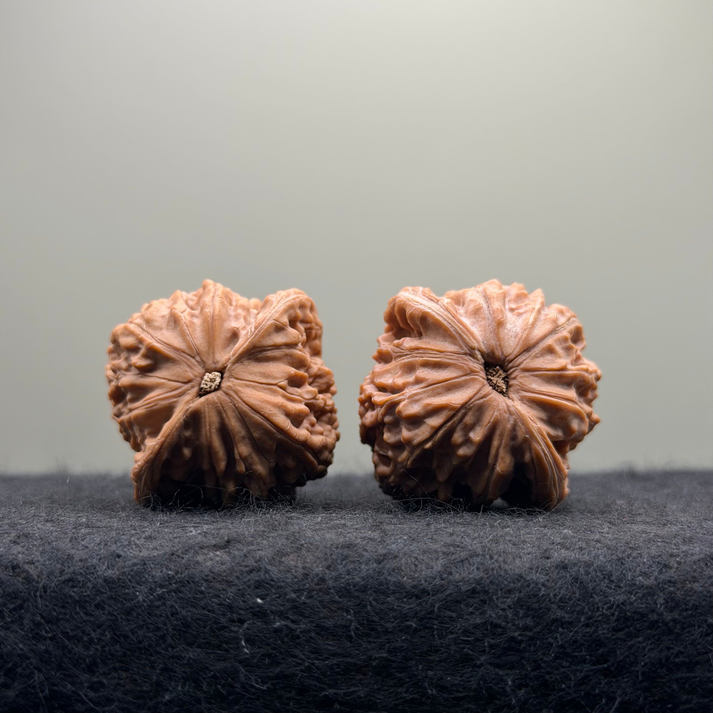 Well-aligned Millstone Wenwan Walnut · 41mm · Natural · Select Ritual
