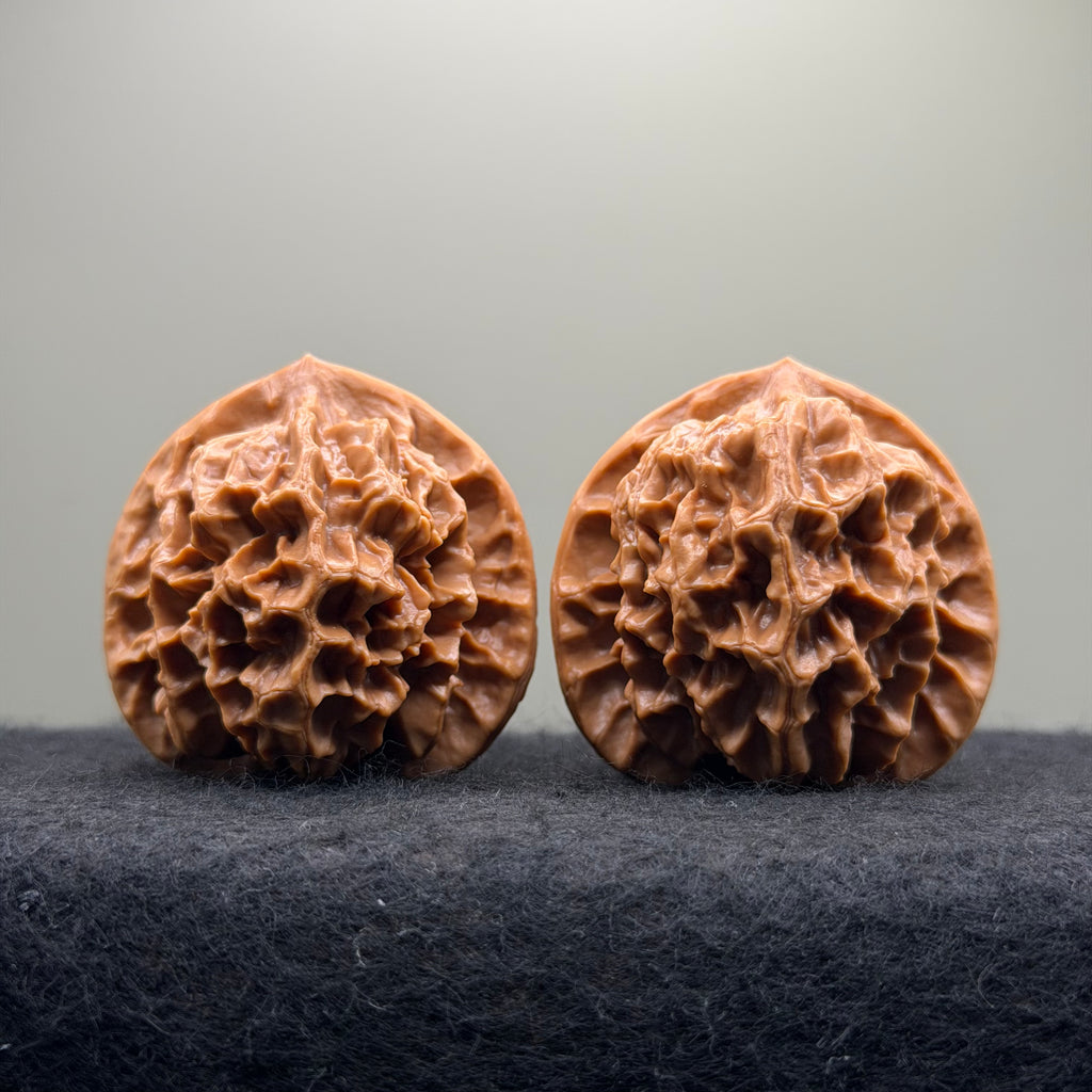 Emperor Wenwan Walnut  · 46mm · Select Ritual
