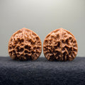Emperor Wenwan Walnut  · 46mm · Select Ritual