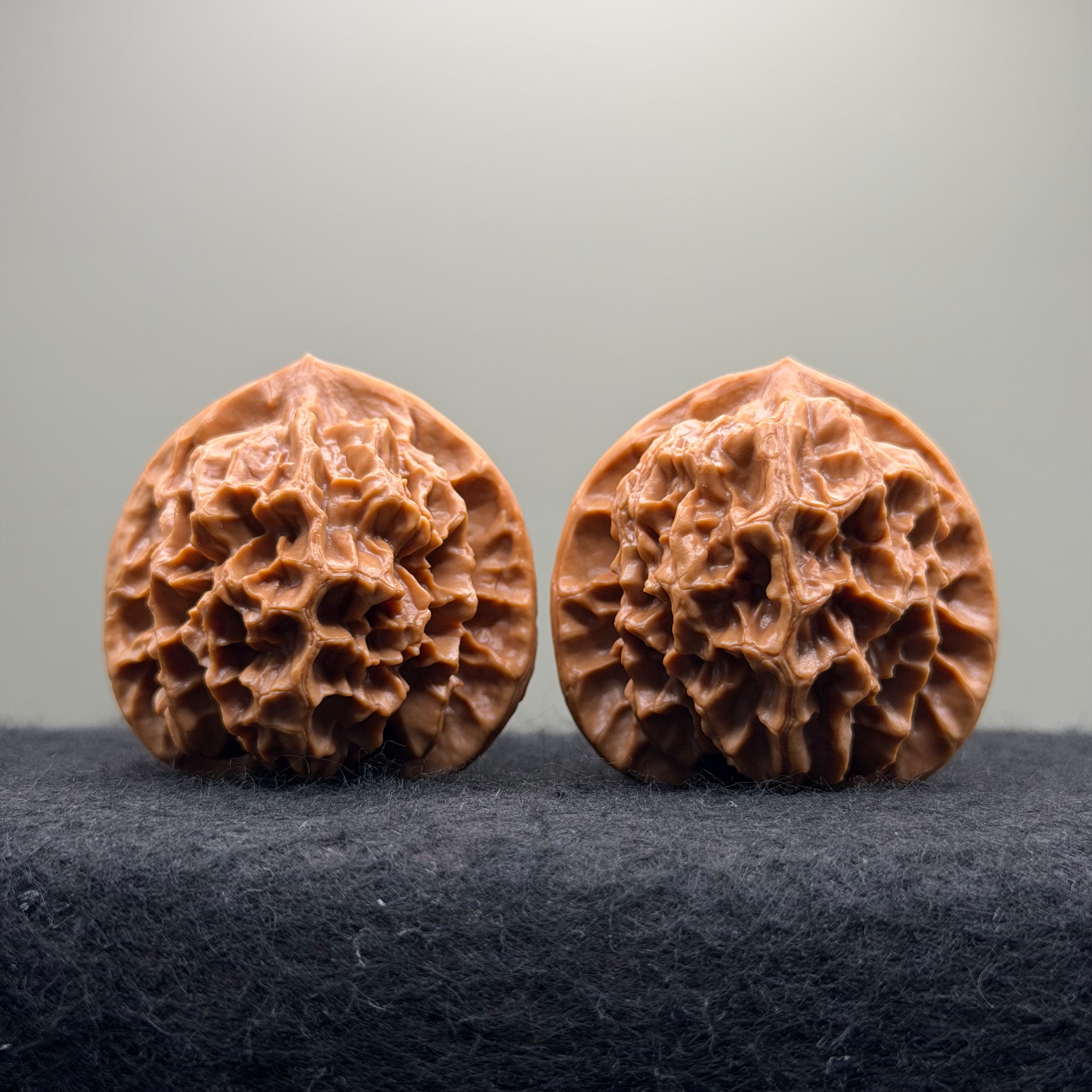 Emperor Wenwan Walnut  · 46mm · Select Ritual