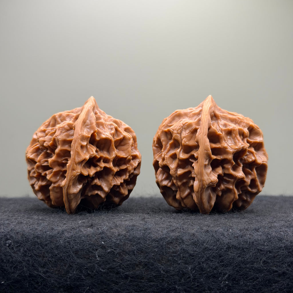 Emperor Wenwan Walnut  · 46mm · Select Ritual