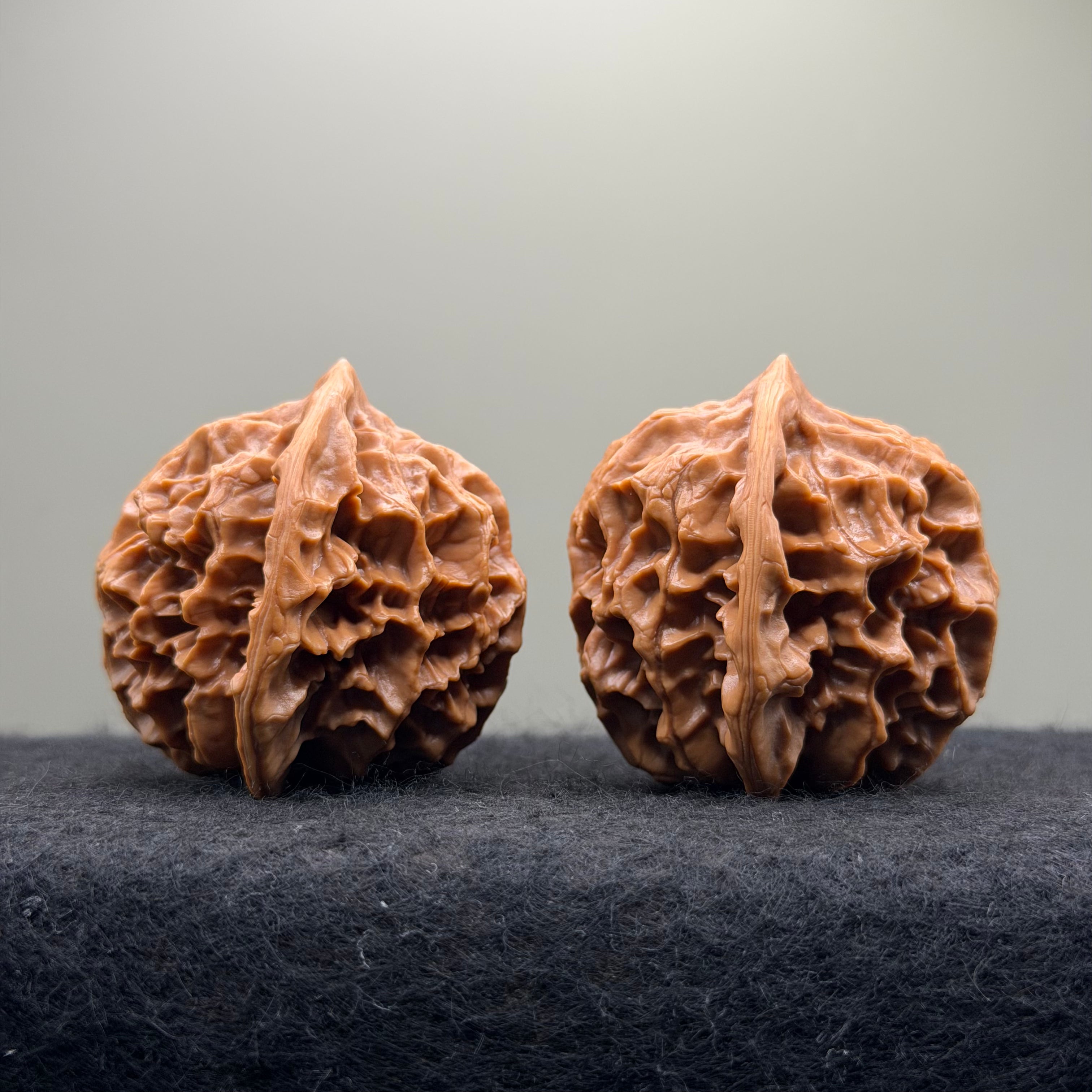 Emperor Wenwan Walnut  · 46mm · Select Ritual