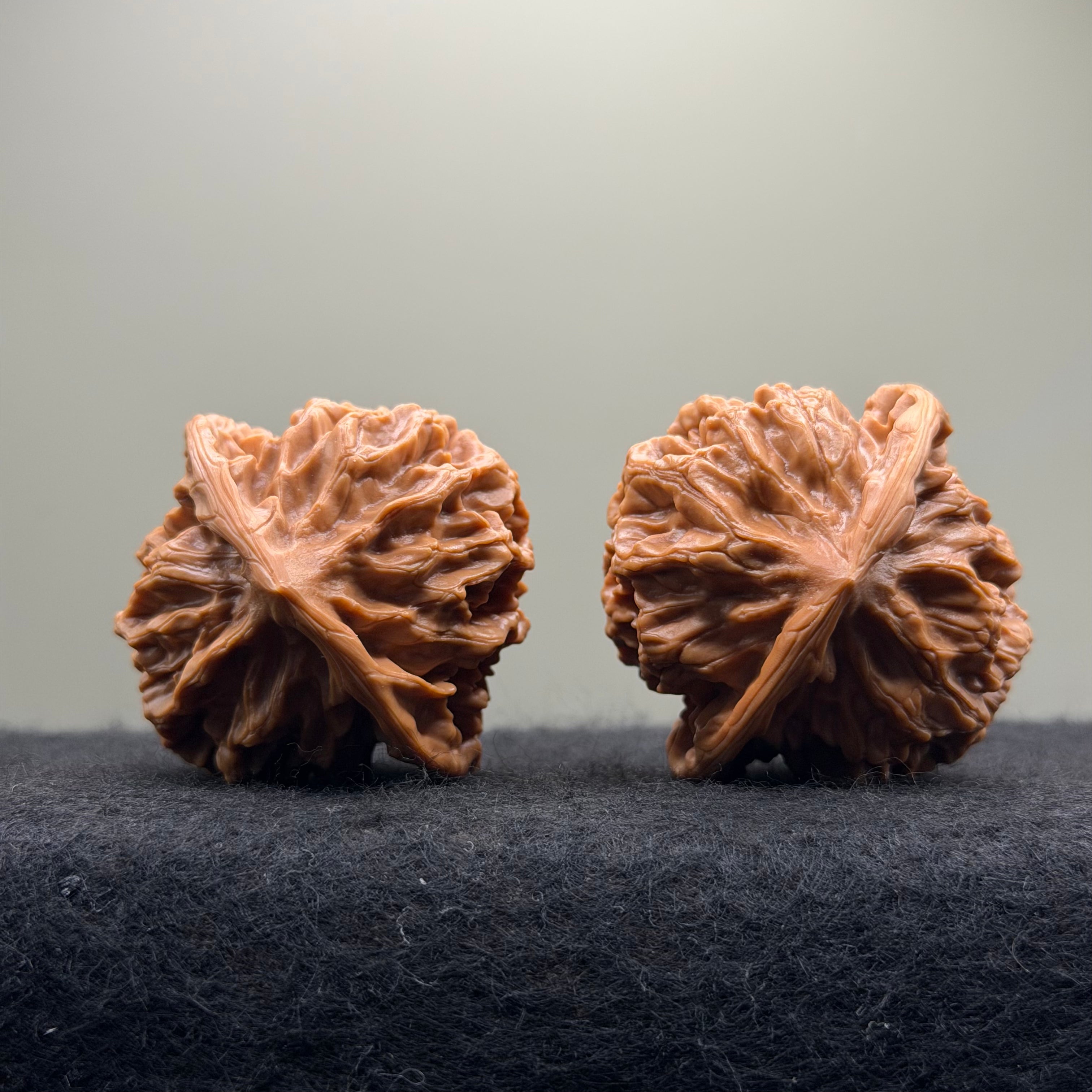 Emperor Wenwan Walnut  · 46mm · Select Ritual