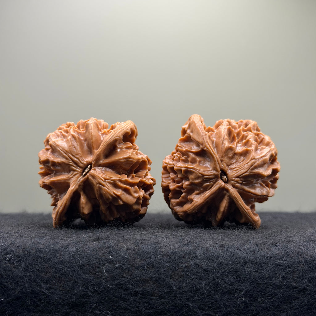 Emperor Wenwan Walnut  · 46mm · Select Ritual
