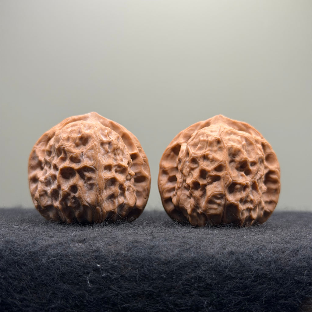 Dunhuang Wenwan Walnut · 39mm · Natural · Collector Ritual