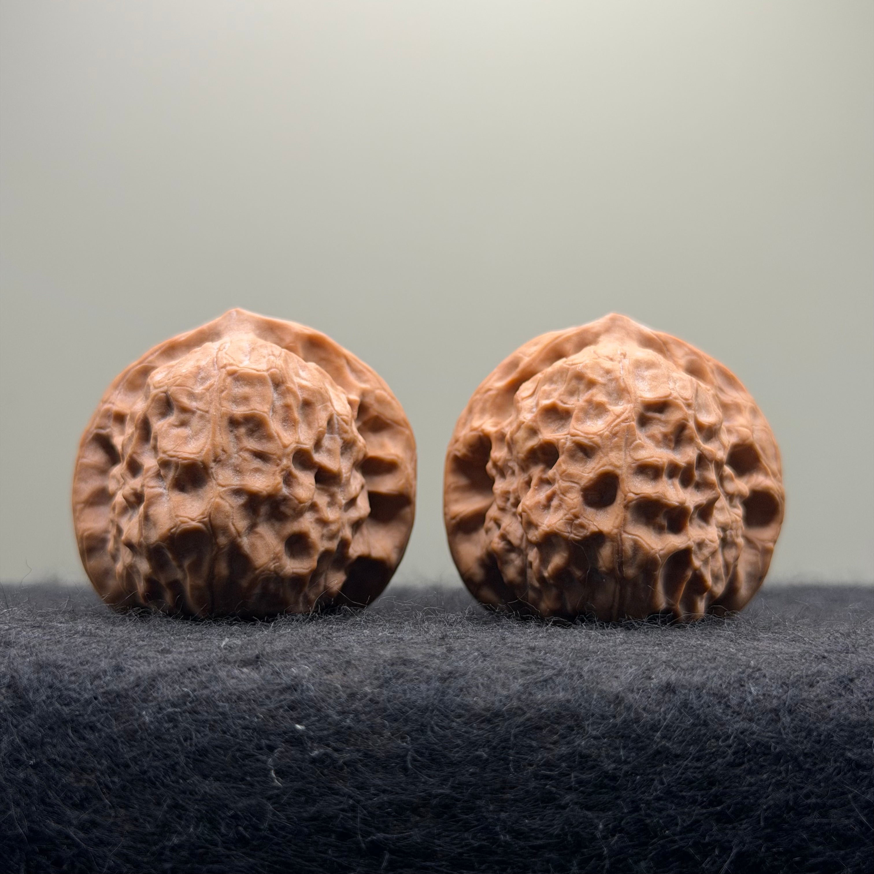 Dunhuang Wenwan Walnut · 39mm · Natural · Collector Ritual