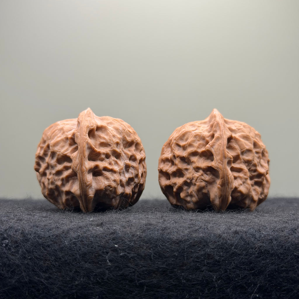 Dunhuang Wenwan Walnut · 39mm · Natural · Collector Ritual