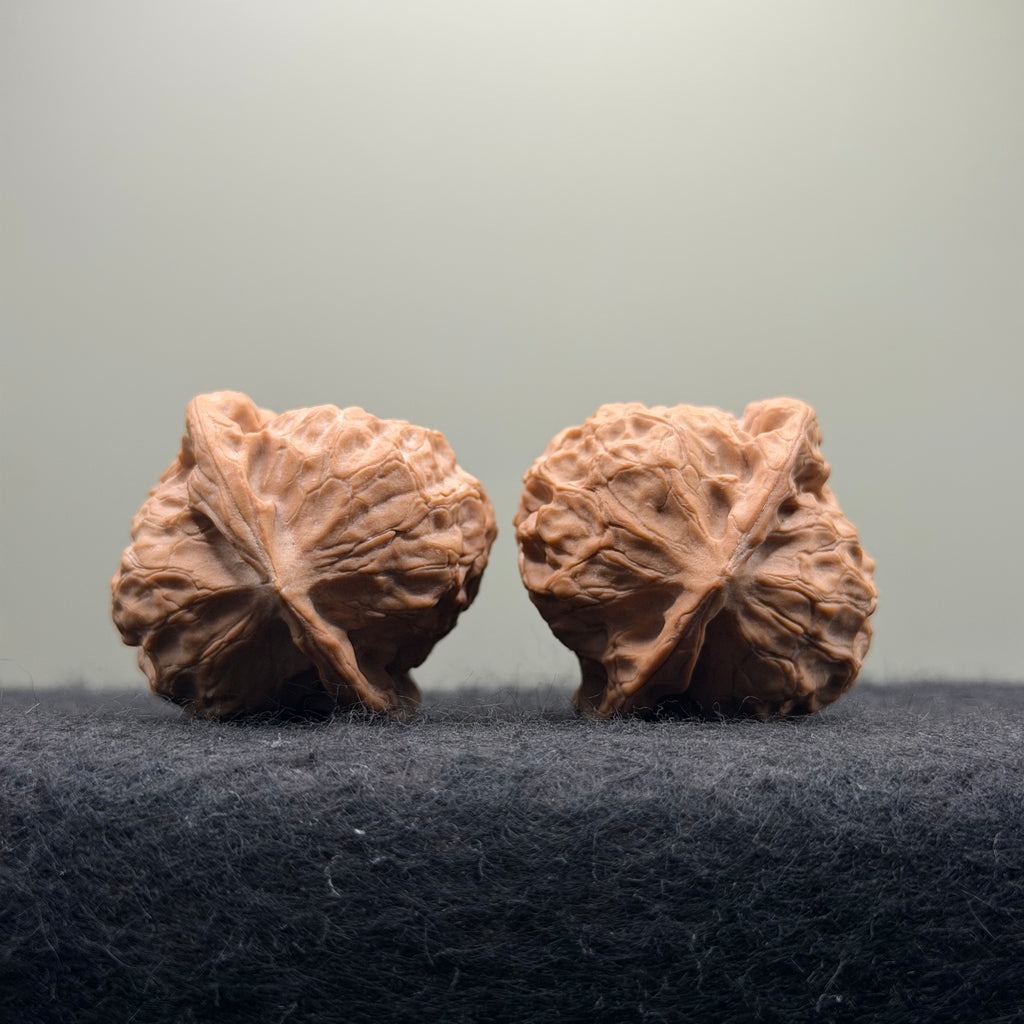 Dunhuang Wenwan Walnut · 39mm · Natural · Collector Ritual