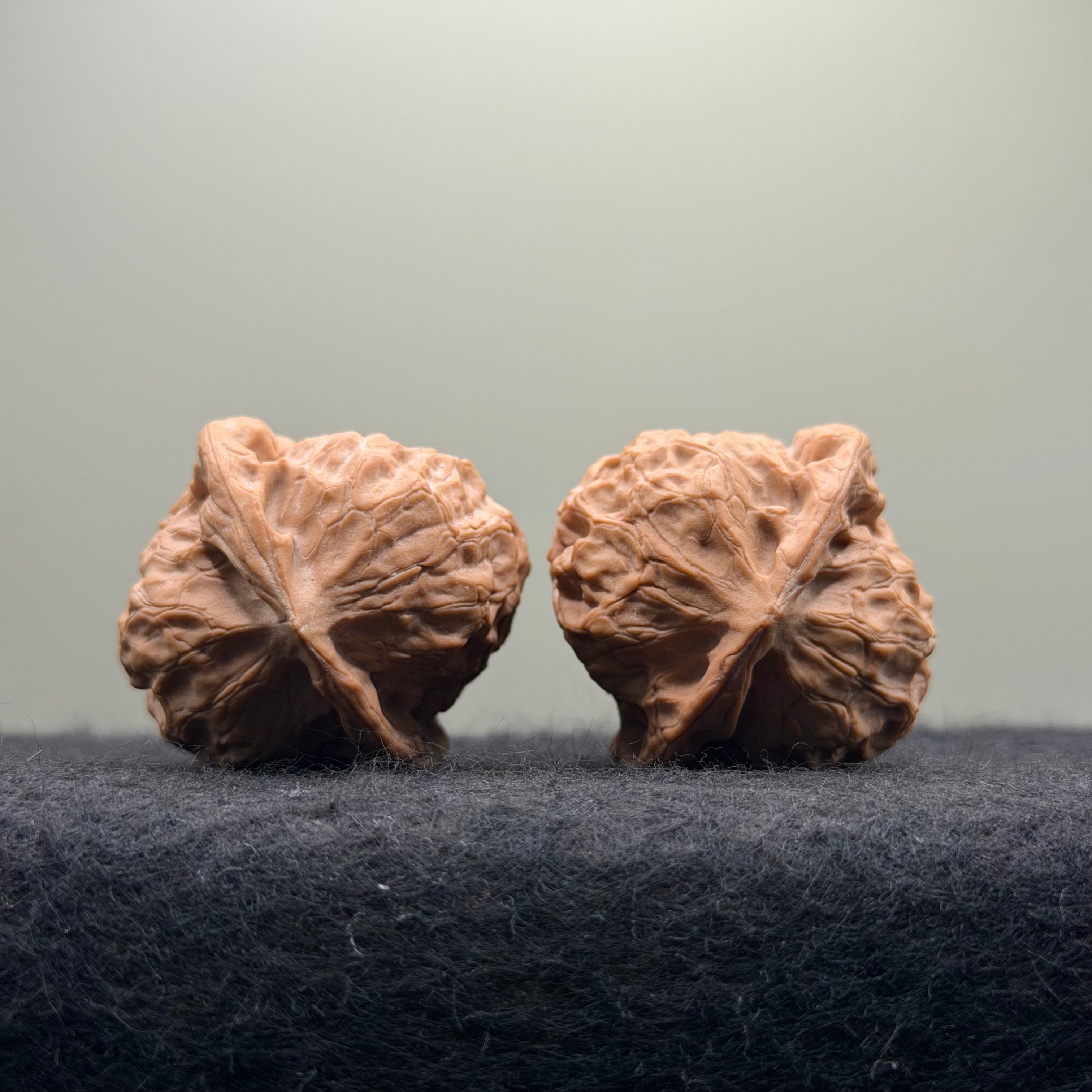 Dunhuang Wenwan Walnut · 39mm · Natural · Collector Ritual