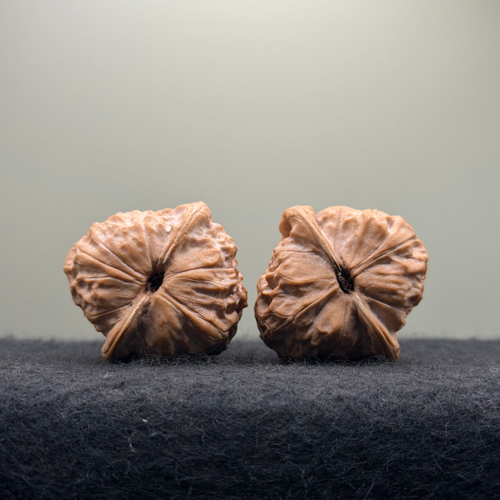 Dunhuang Wenwan Walnut · 39mm · Natural · Collector Ritual