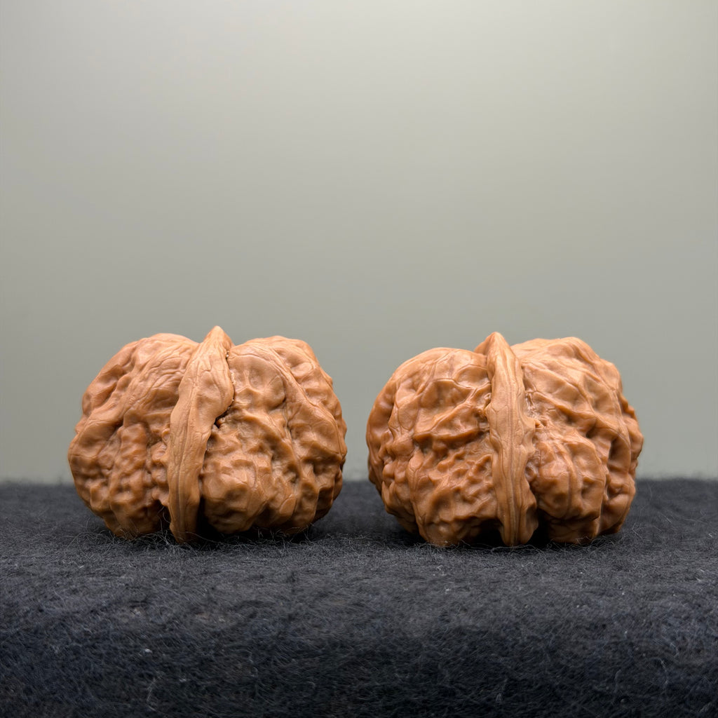 Toad Head Wenwan Walnut  · 37mm · Entry Ritual