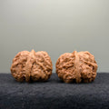 Toad Head Wenwan Walnut  · 37mm · Entry Ritual