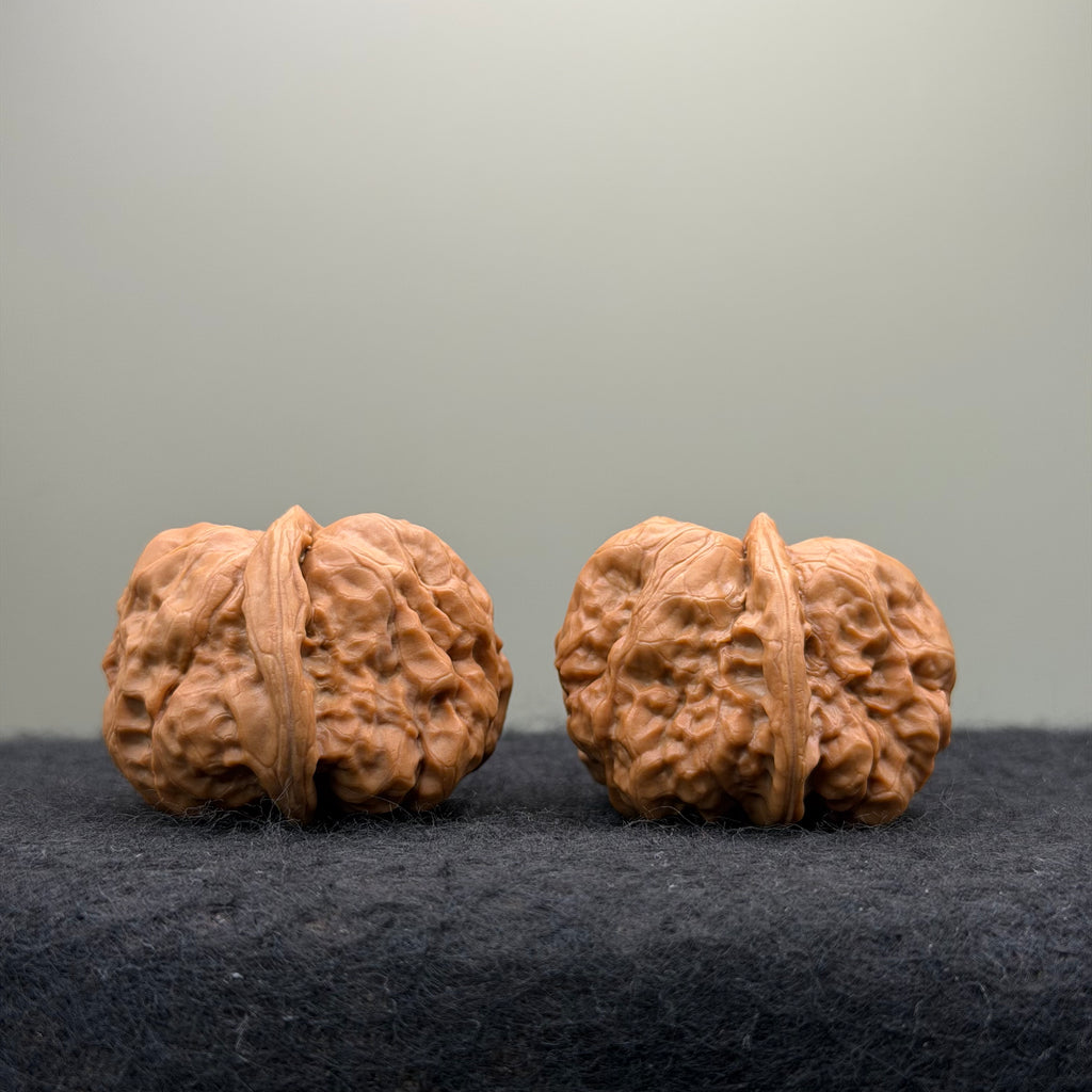 Toad Head Wenwan Walnut  · 37mm · Entry Ritual
