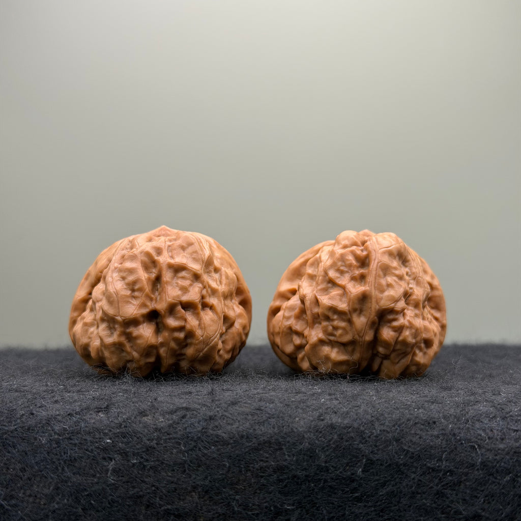 Toad Head Wenwan Walnut  · 37mm · Entry Ritual
