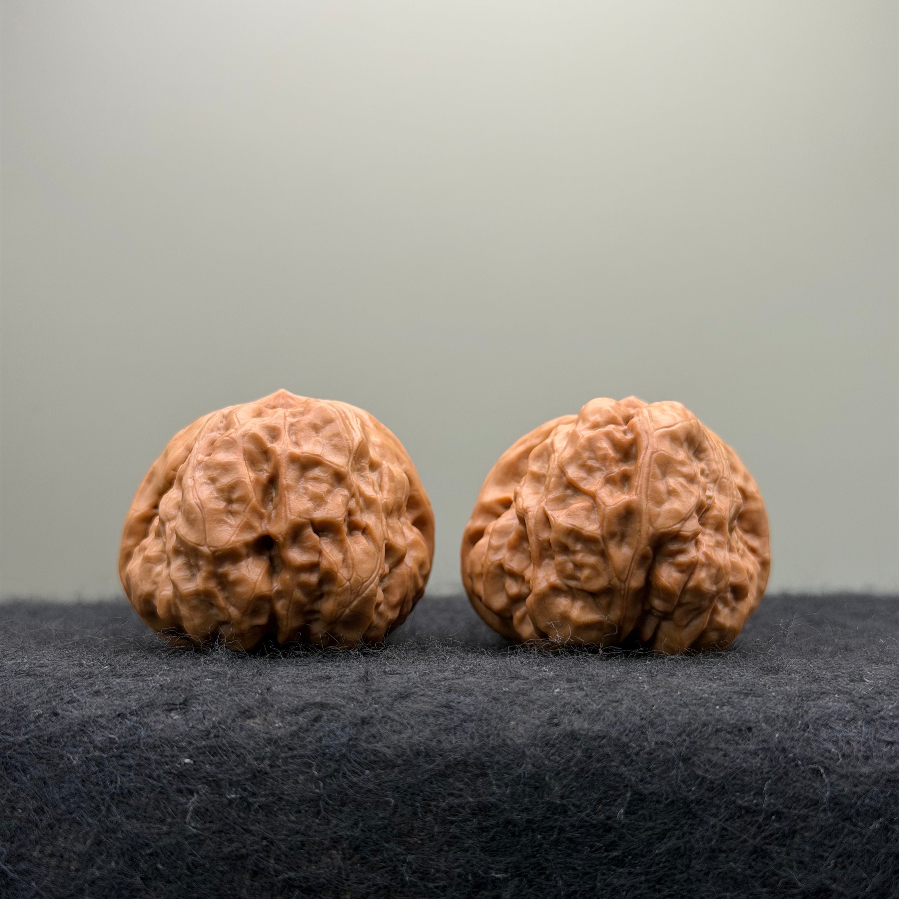 Toad Head Wenwan Walnut  · 37mm · Entry Ritual