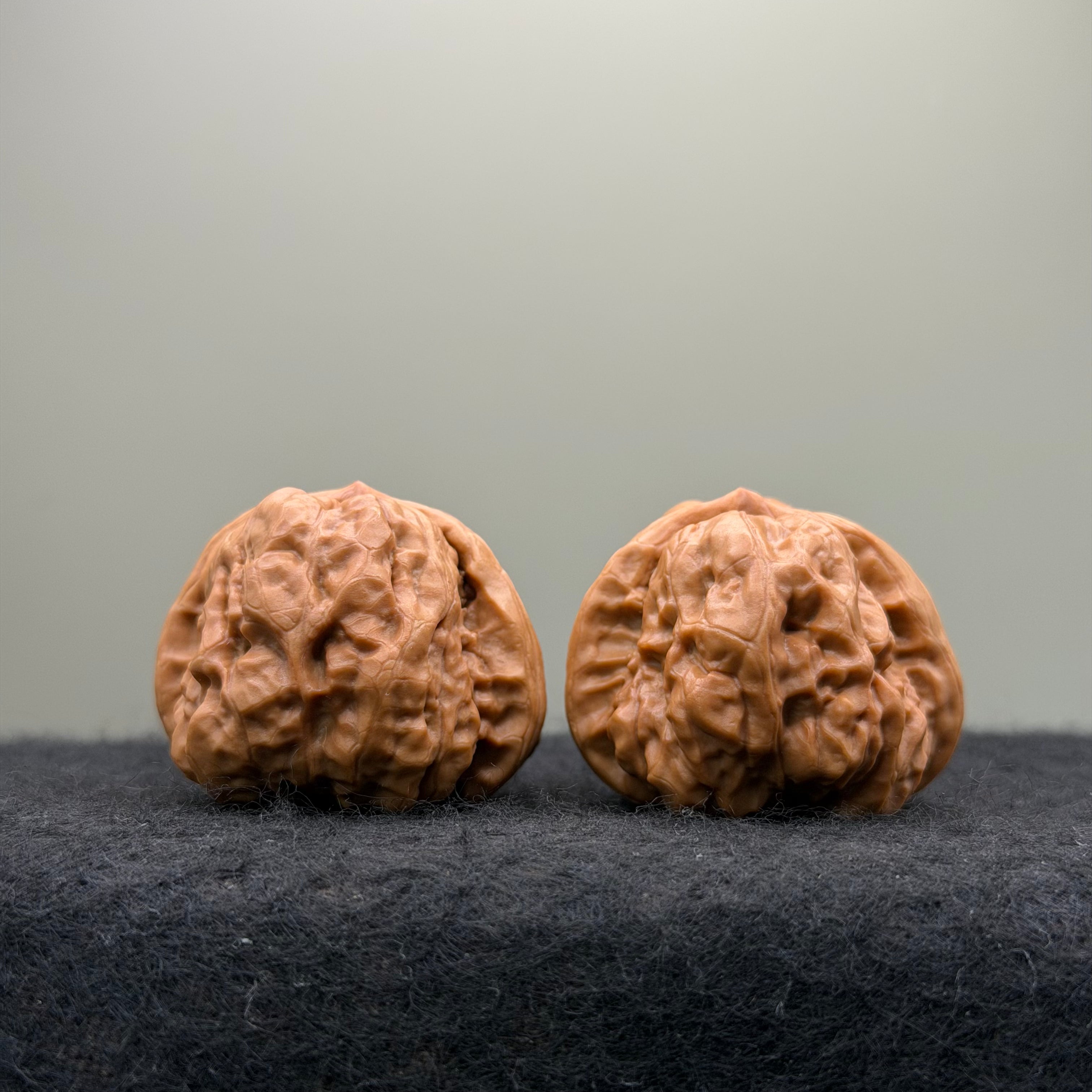 Toad Head Wenwan Walnut  · 37mm · Entry Ritual
