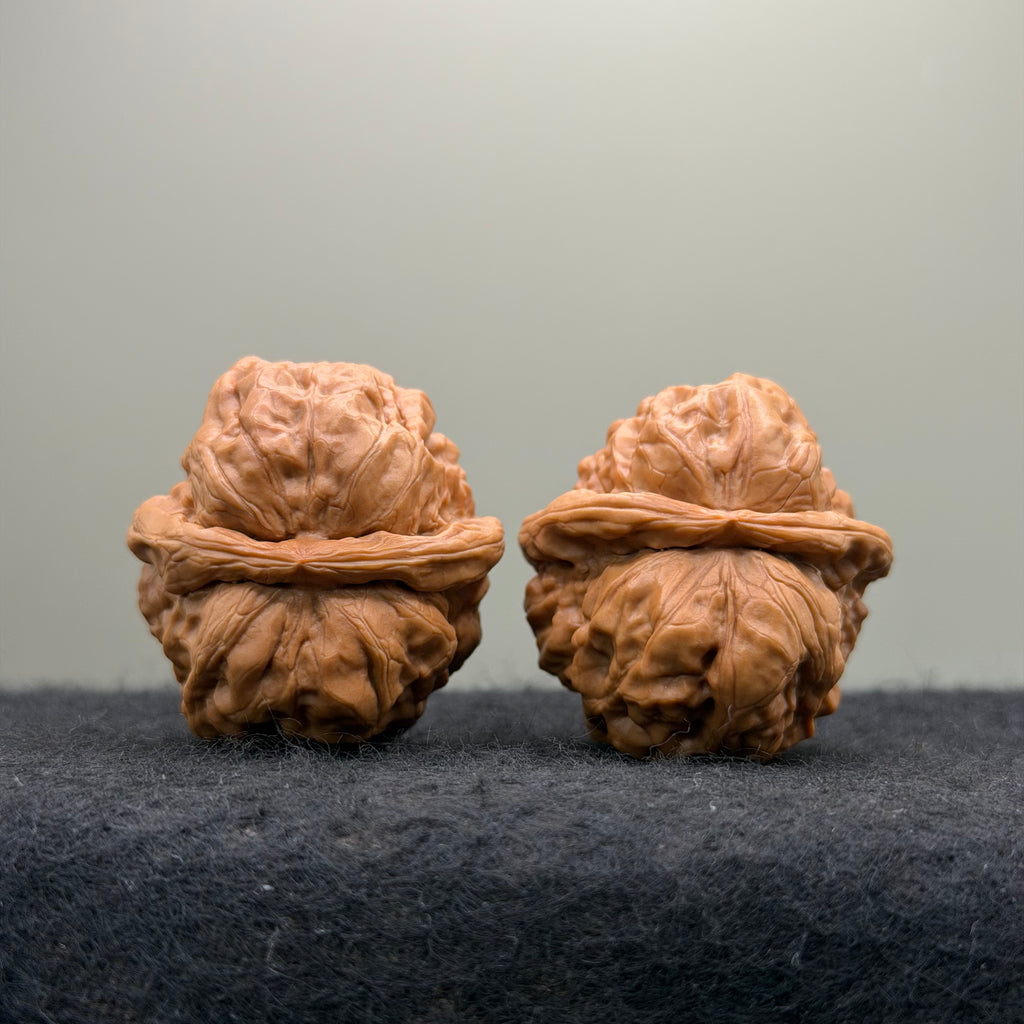 Toad Head Wenwan Walnut  · 37mm · Entry Ritual