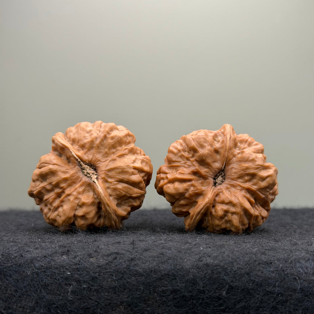 Toad Head Wenwan Walnut  · 37mm · Entry Ritual