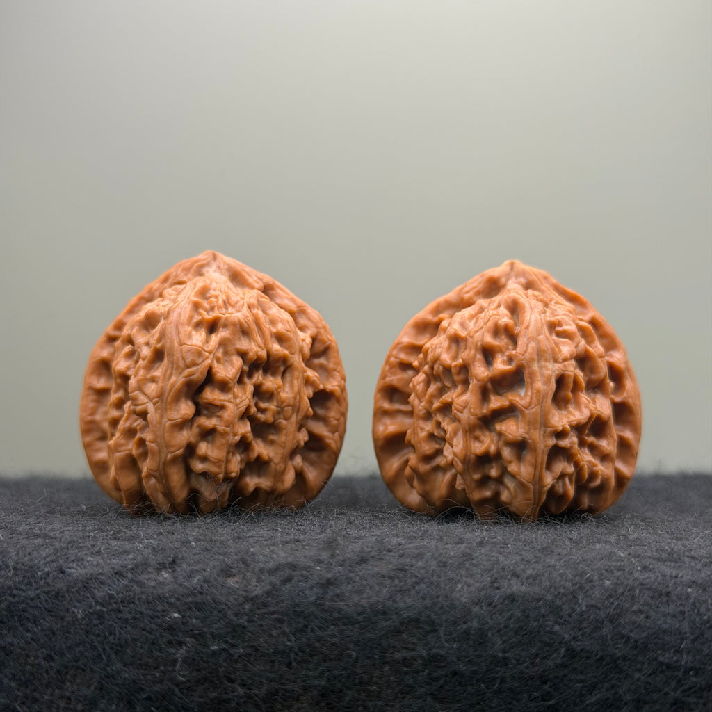 Triangle White Lion Wenwan Walnut · 38mm · Natural · Select Ritual