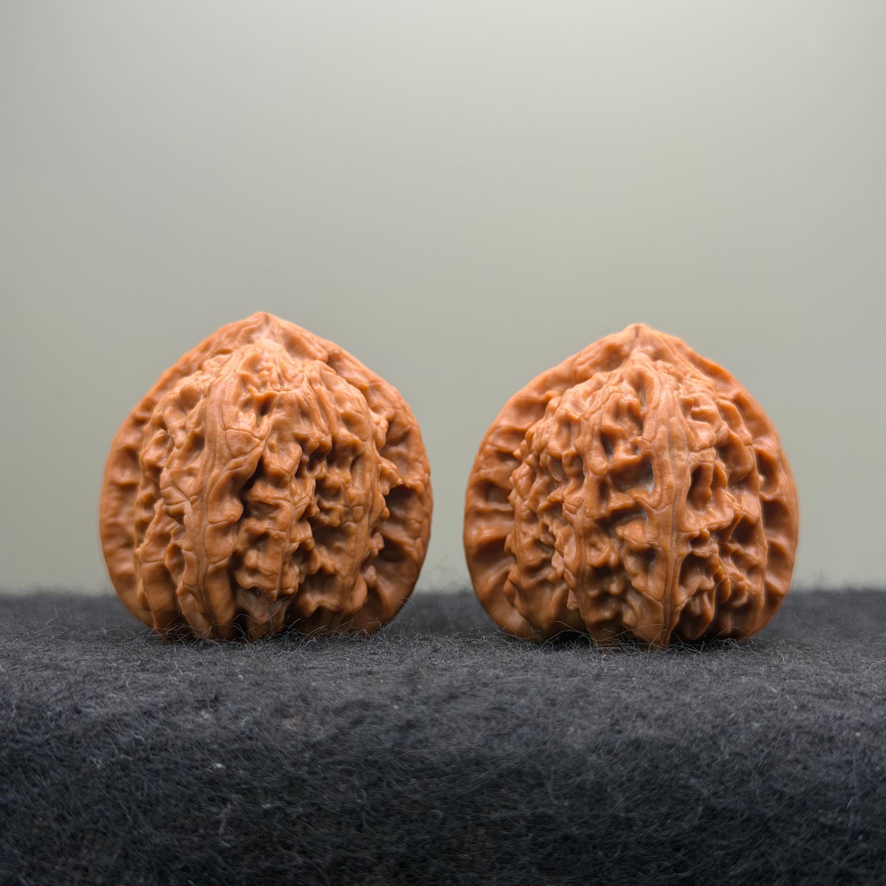 Triangle White Lion Wenwan Walnut · 38mm · Natural · Select Ritual