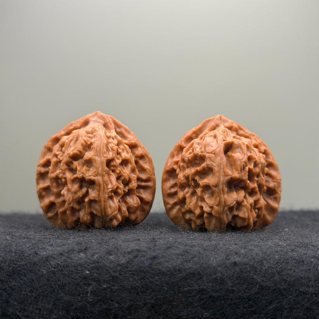 Triangle White Lion Wenwan Walnut · 38mm · Natural · Select Ritual