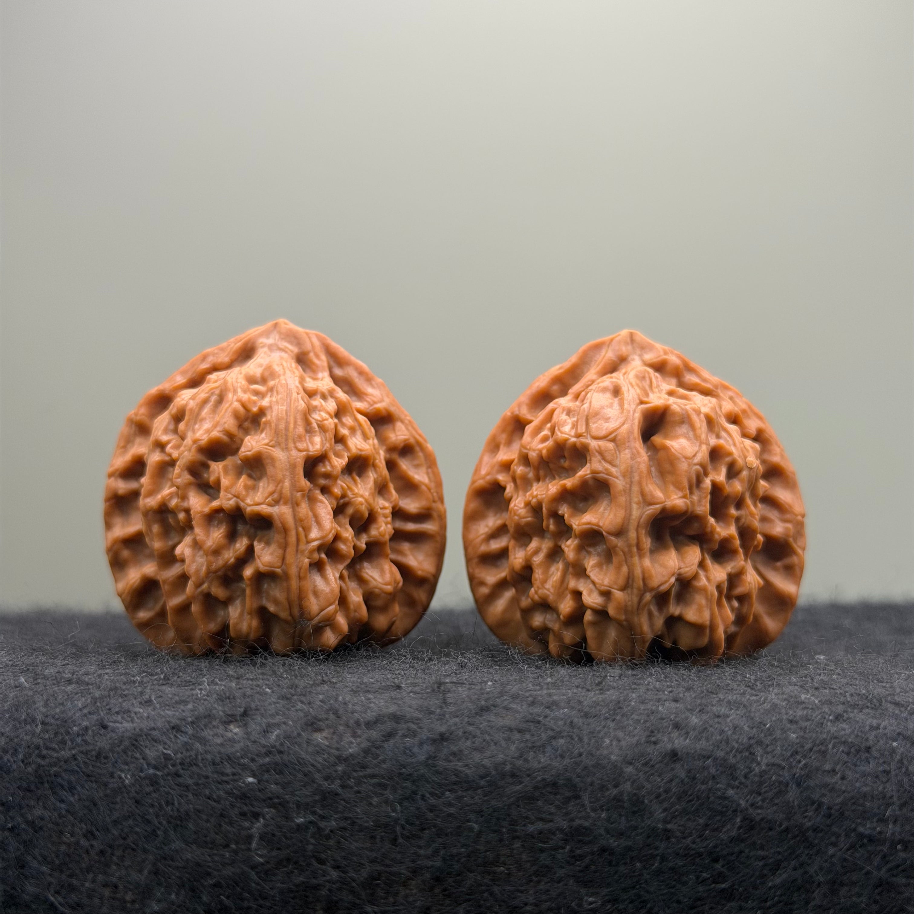 Triangle White Lion Wenwan Walnut · 38mm · Natural · Select Ritual