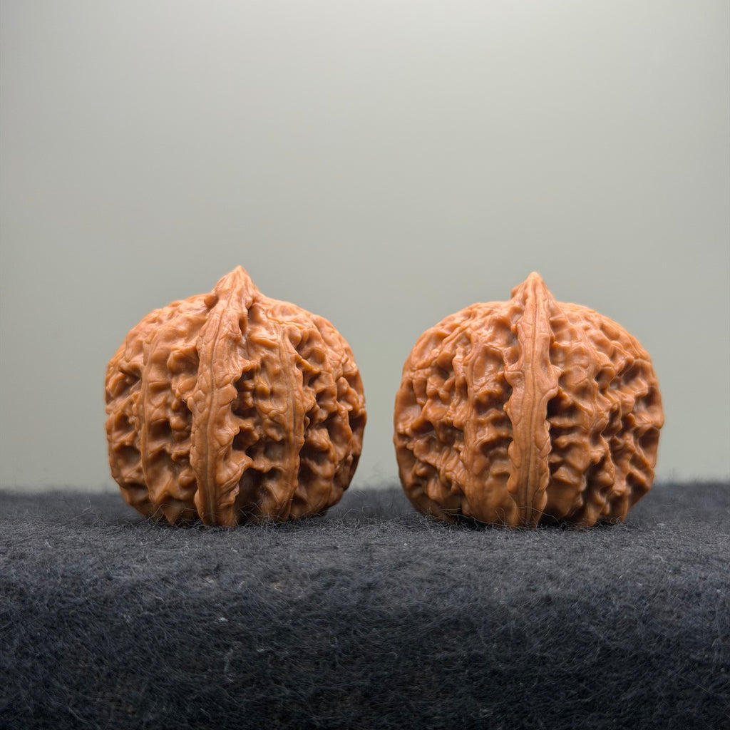Triangle White Lion Wenwan Walnut · 38mm · Natural · Select Ritual