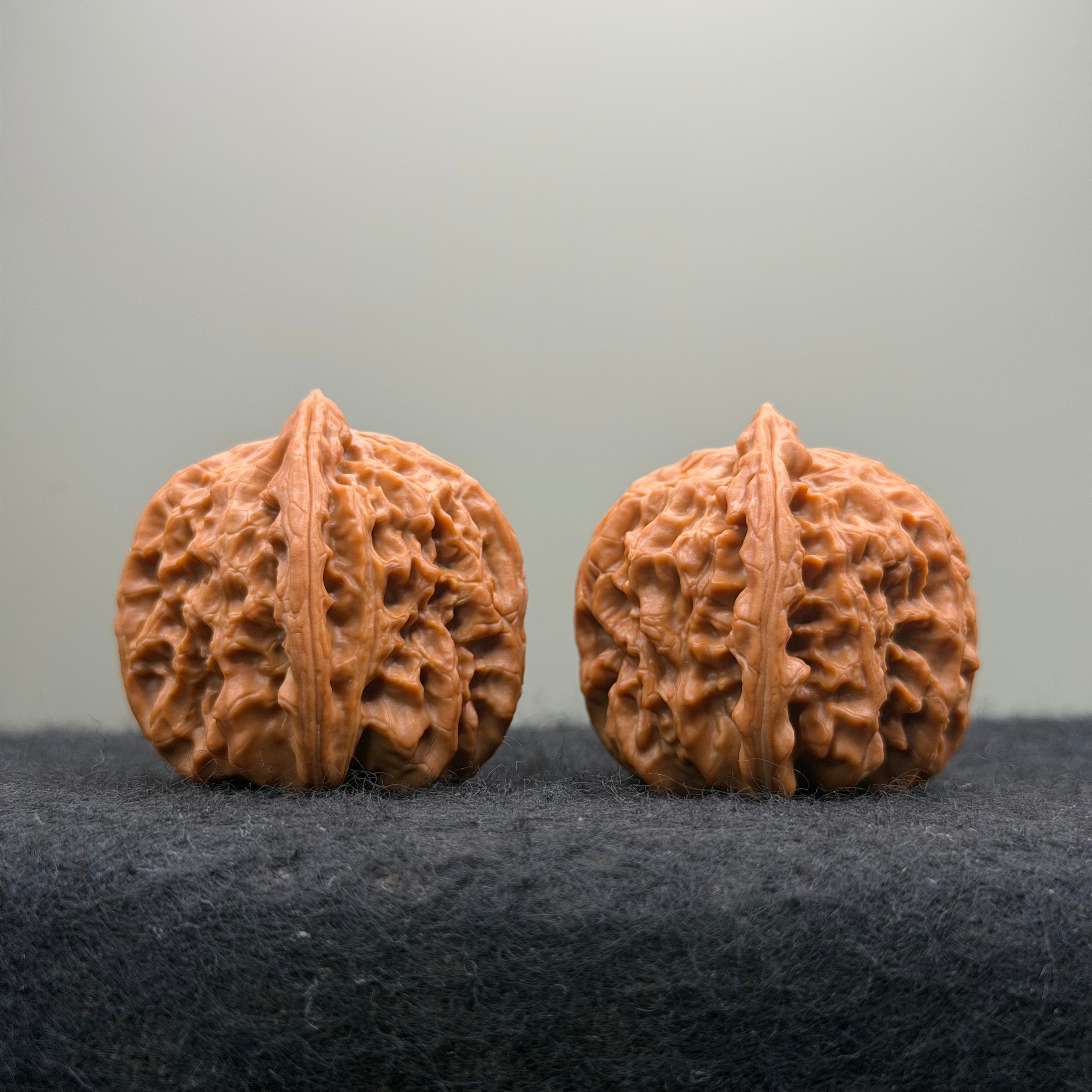 Triangle White Lion Wenwan Walnut · 38mm · Natural · Select Ritual