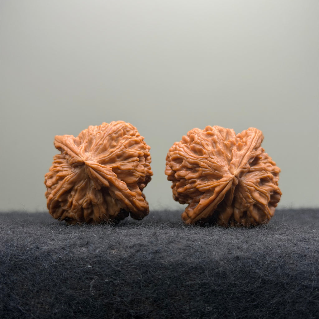 Triangle White Lion Wenwan Walnut · 38mm · Natural · Select Ritual