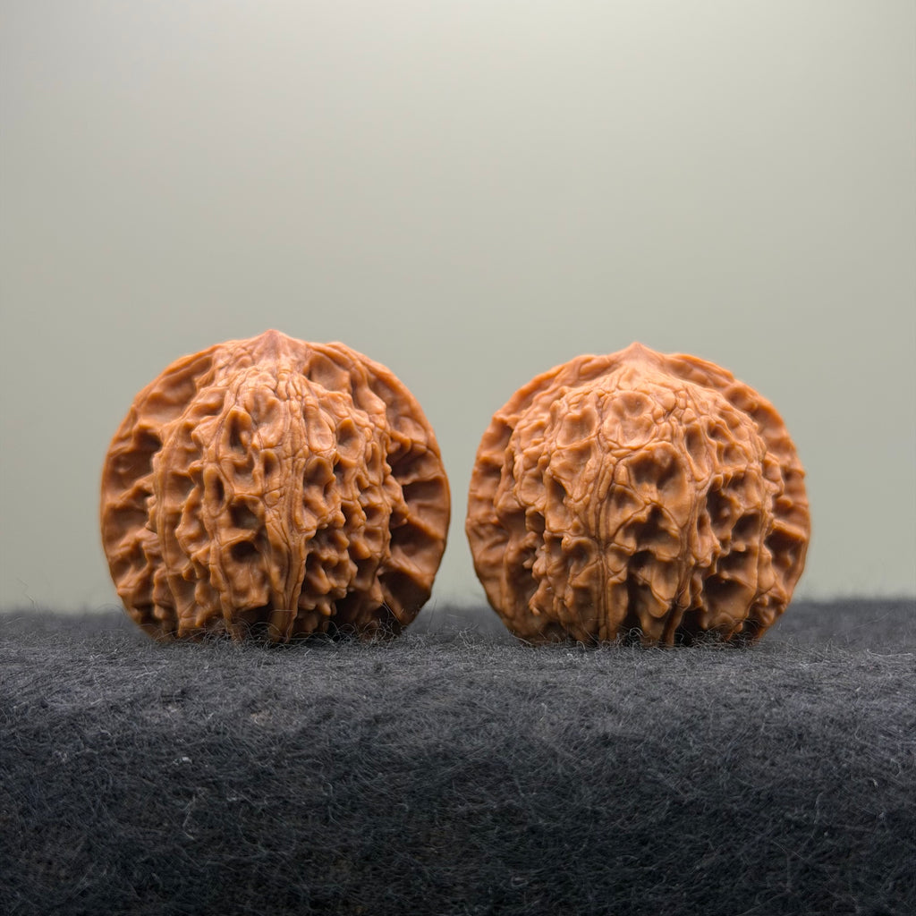 Flat Top Lion Head Wenwan Walnut · 38mm · Entry Ritual