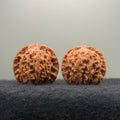 Flat Top Lion Head Wenwan Walnut · 38mm · Entry Ritual