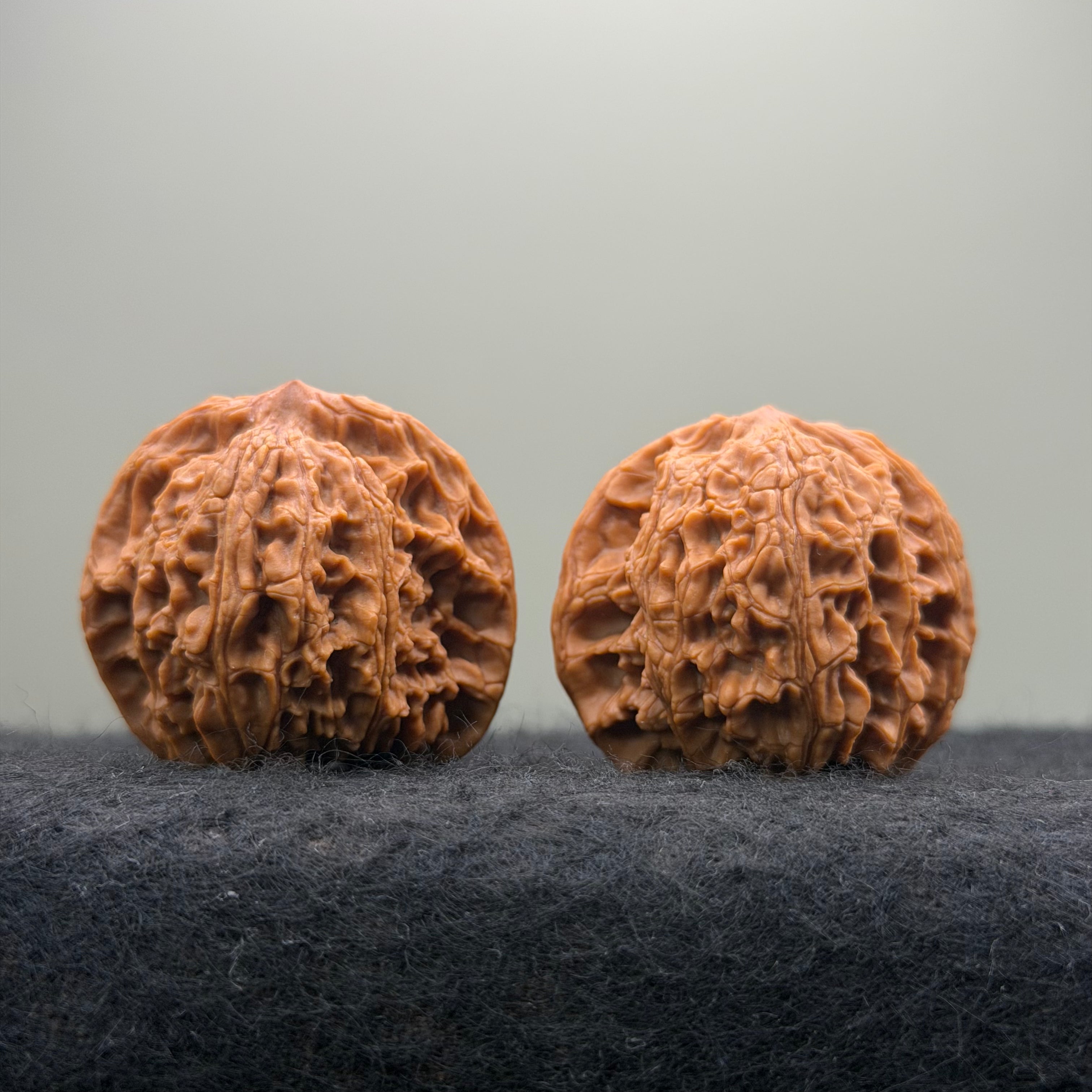 Flat Top Lion Head Wenwan Walnut · 38mm · Entry Ritual