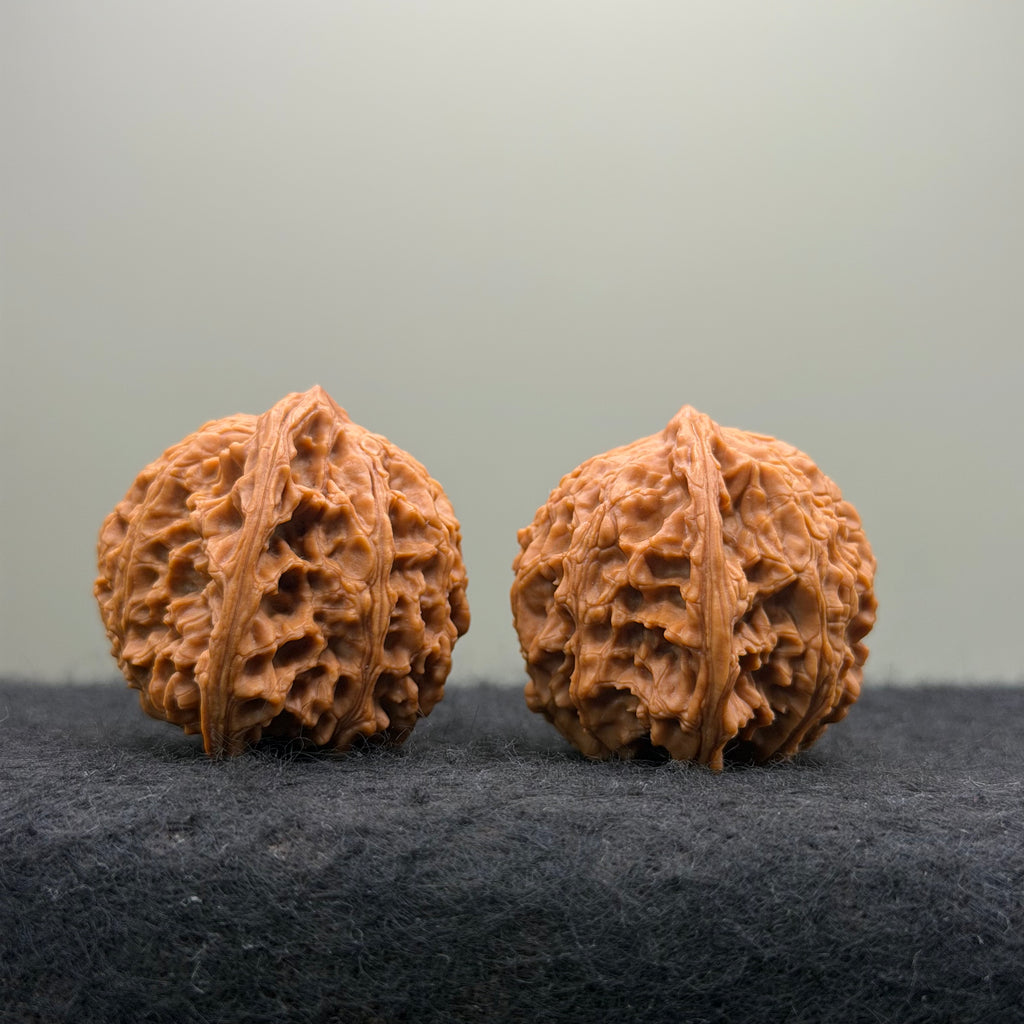 Flat Top Lion Head Wenwan Walnut · 38mm · Entry Ritual
