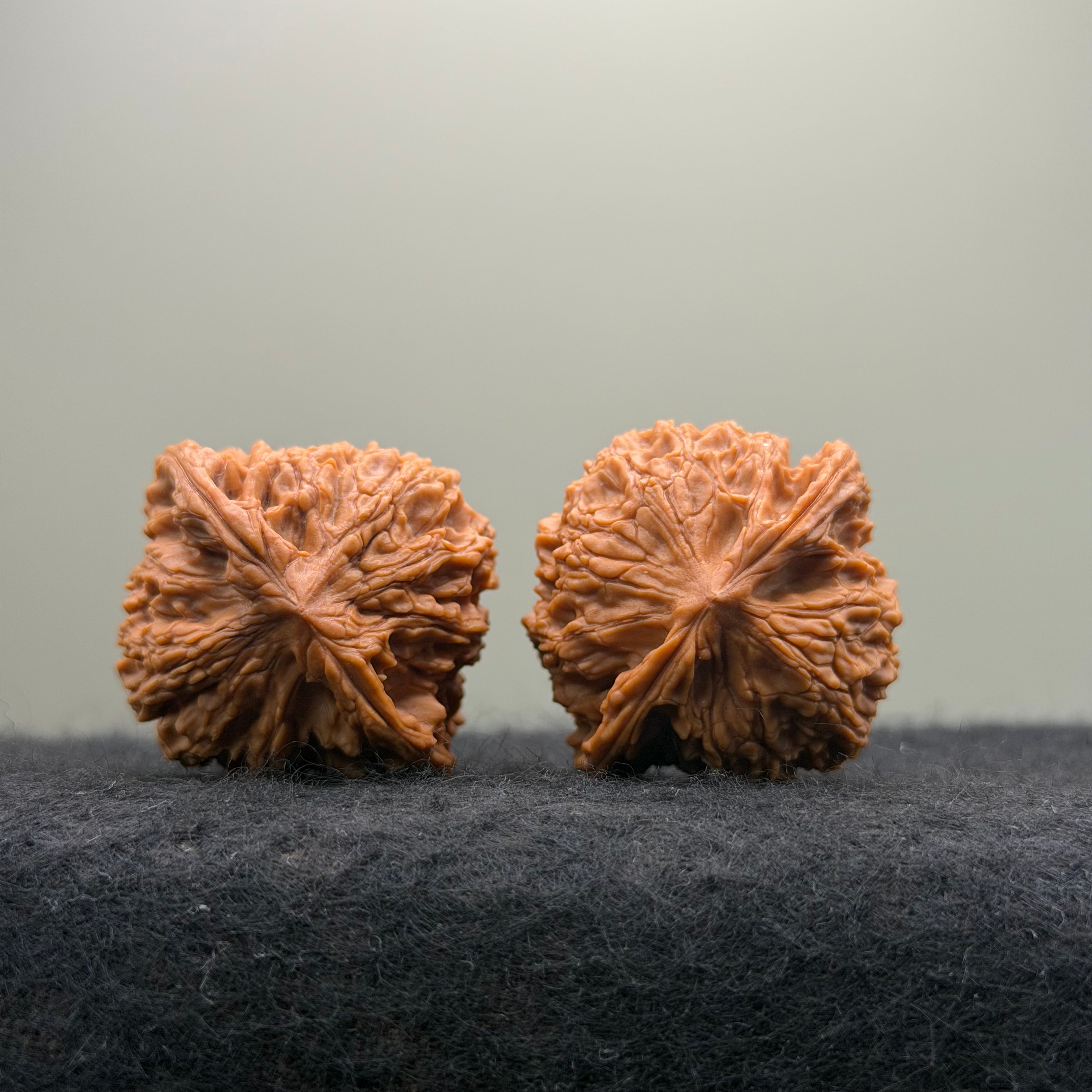Flat Top Lion Head Wenwan Walnut · 38mm · Entry Ritual