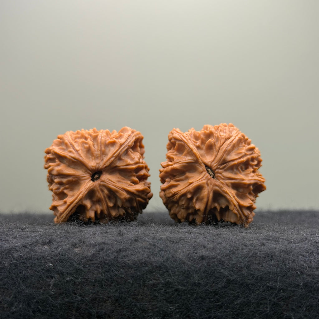 Flat Top Lion Head Wenwan Walnut · 38mm · Entry Ritual