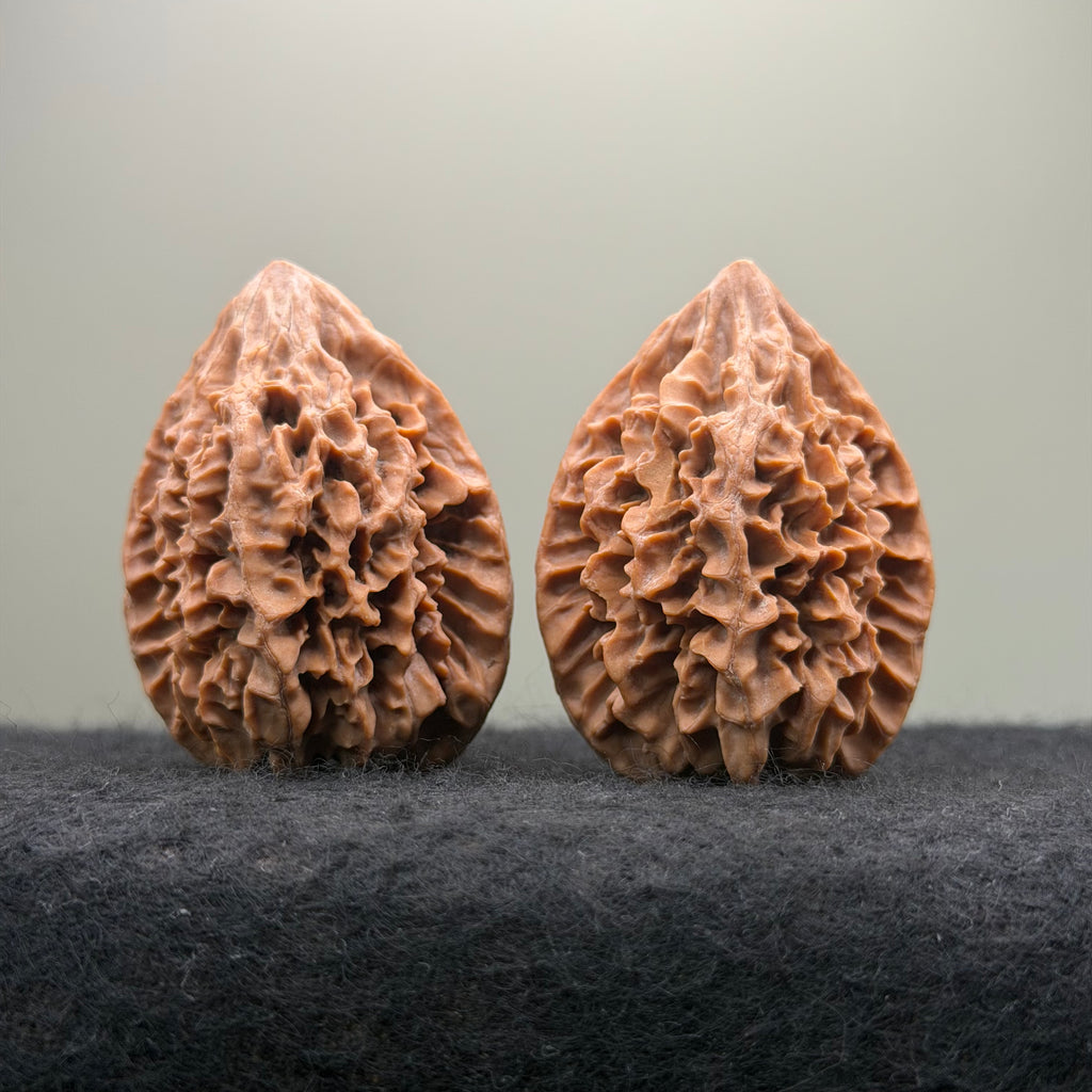 Fortune Rat Wenwan Walnut · 53mm · Natural · Select Ritual