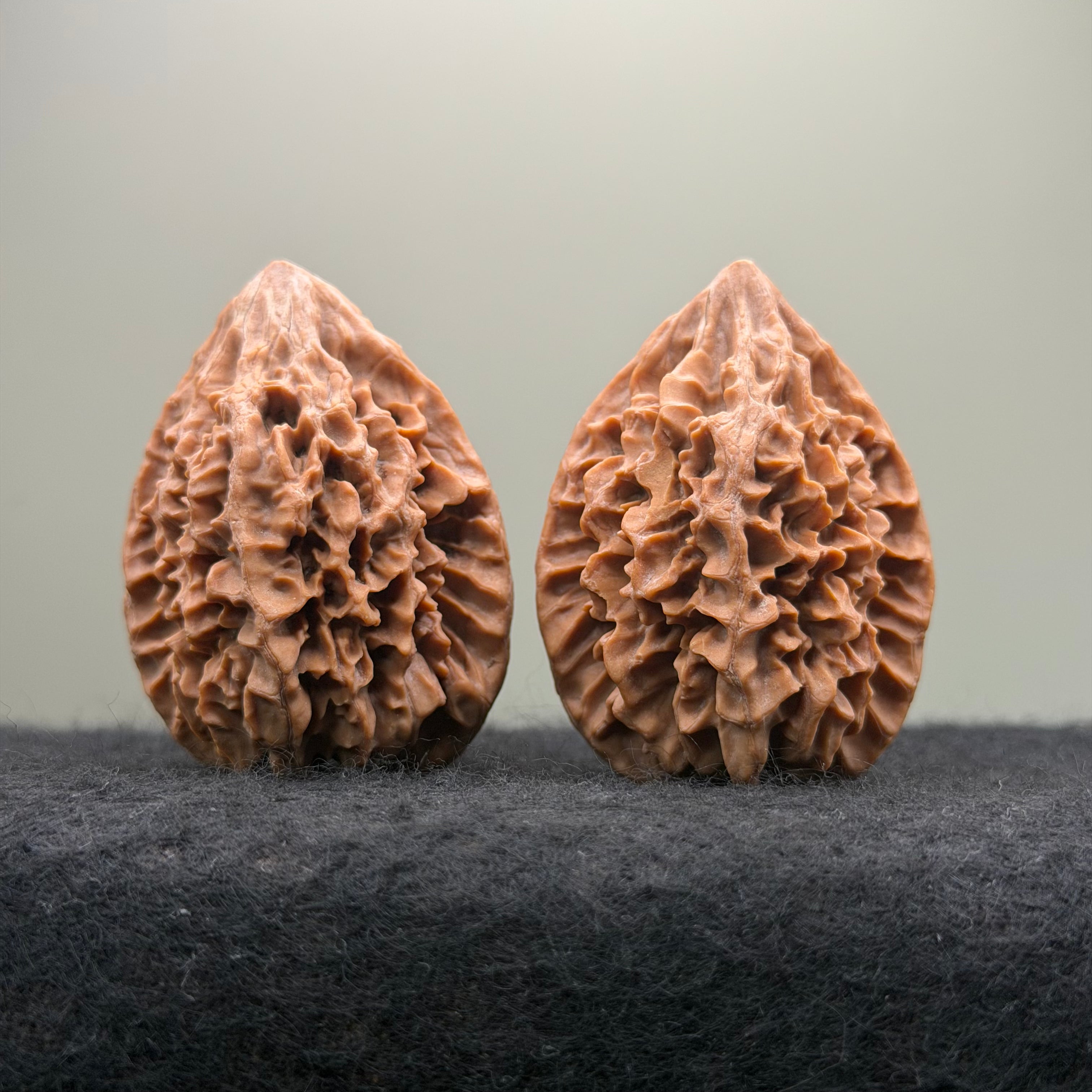 Fortune Rat Wenwan Walnut · 53mm · Natural · Select Ritual