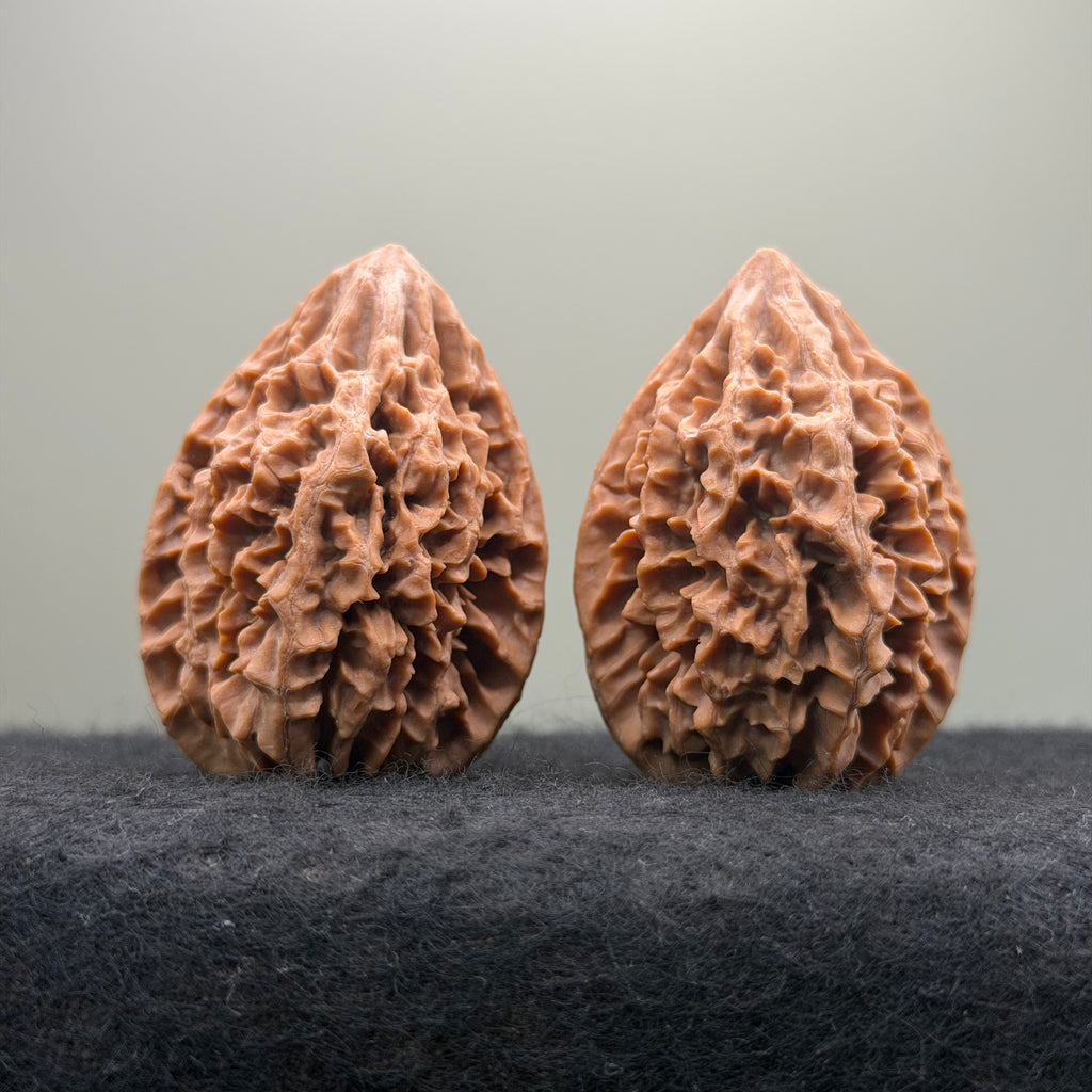 Fortune Rat Wenwan Walnut · 53mm · Natural · Select Ritual
