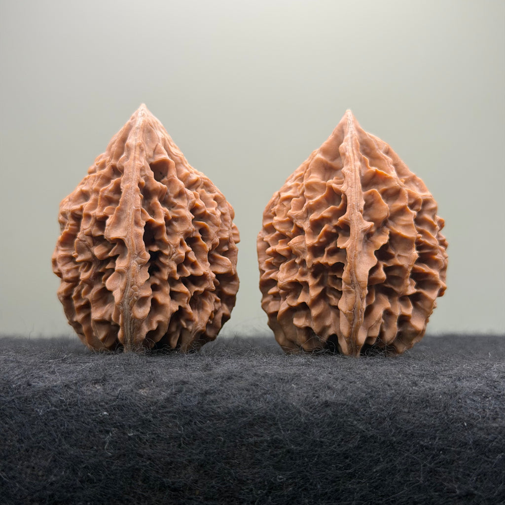 Fortune Rat Wenwan Walnut · 53mm · Natural · Select Ritual