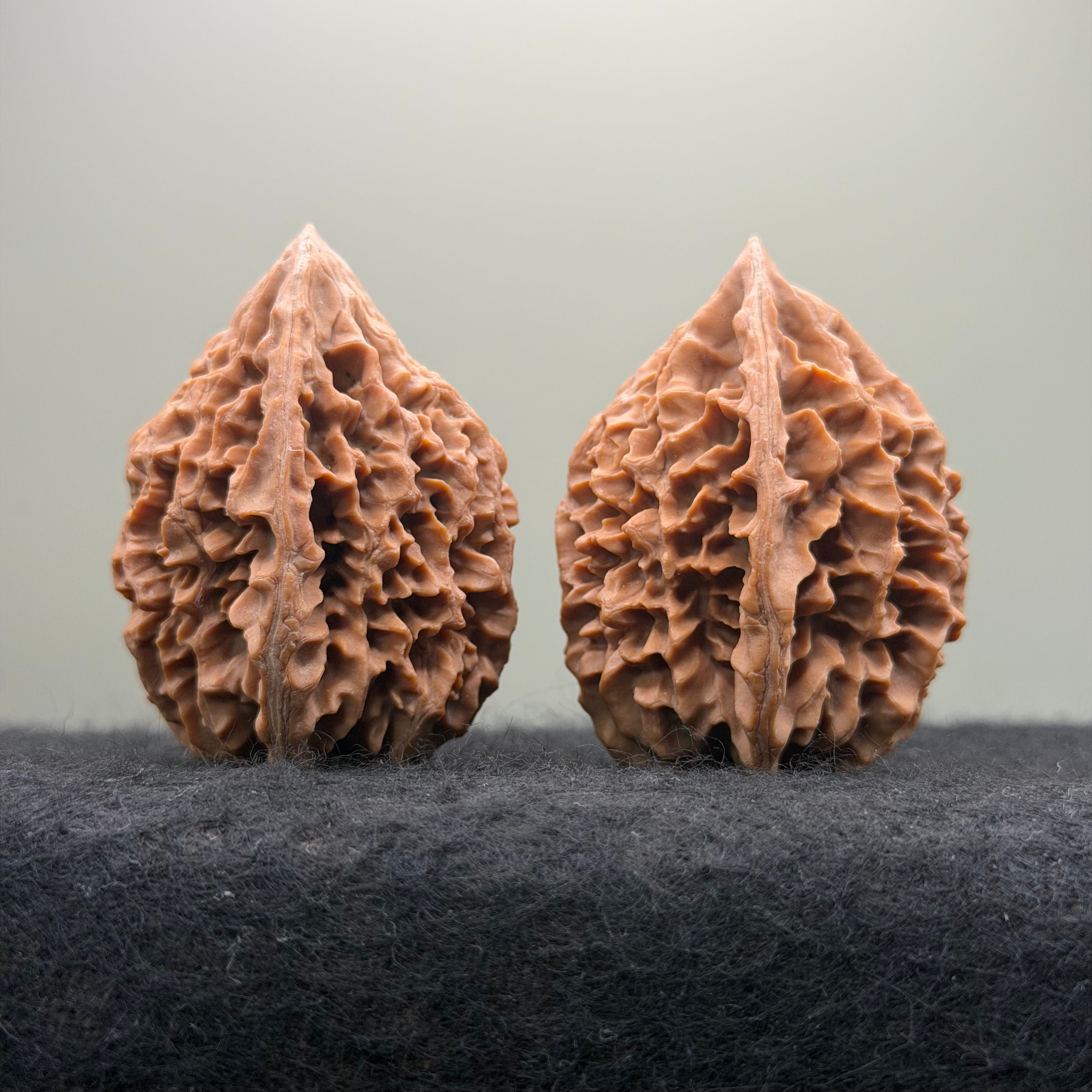 Fortune Rat Wenwan Walnut · 53mm · Natural · Select Ritual