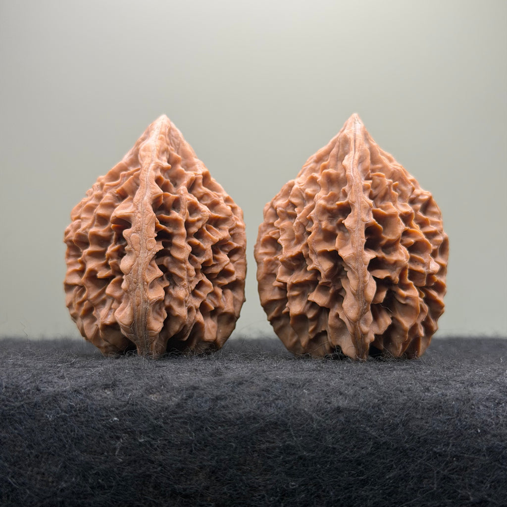 Fortune Rat Wenwan Walnut · 53mm · Natural · Select Ritual