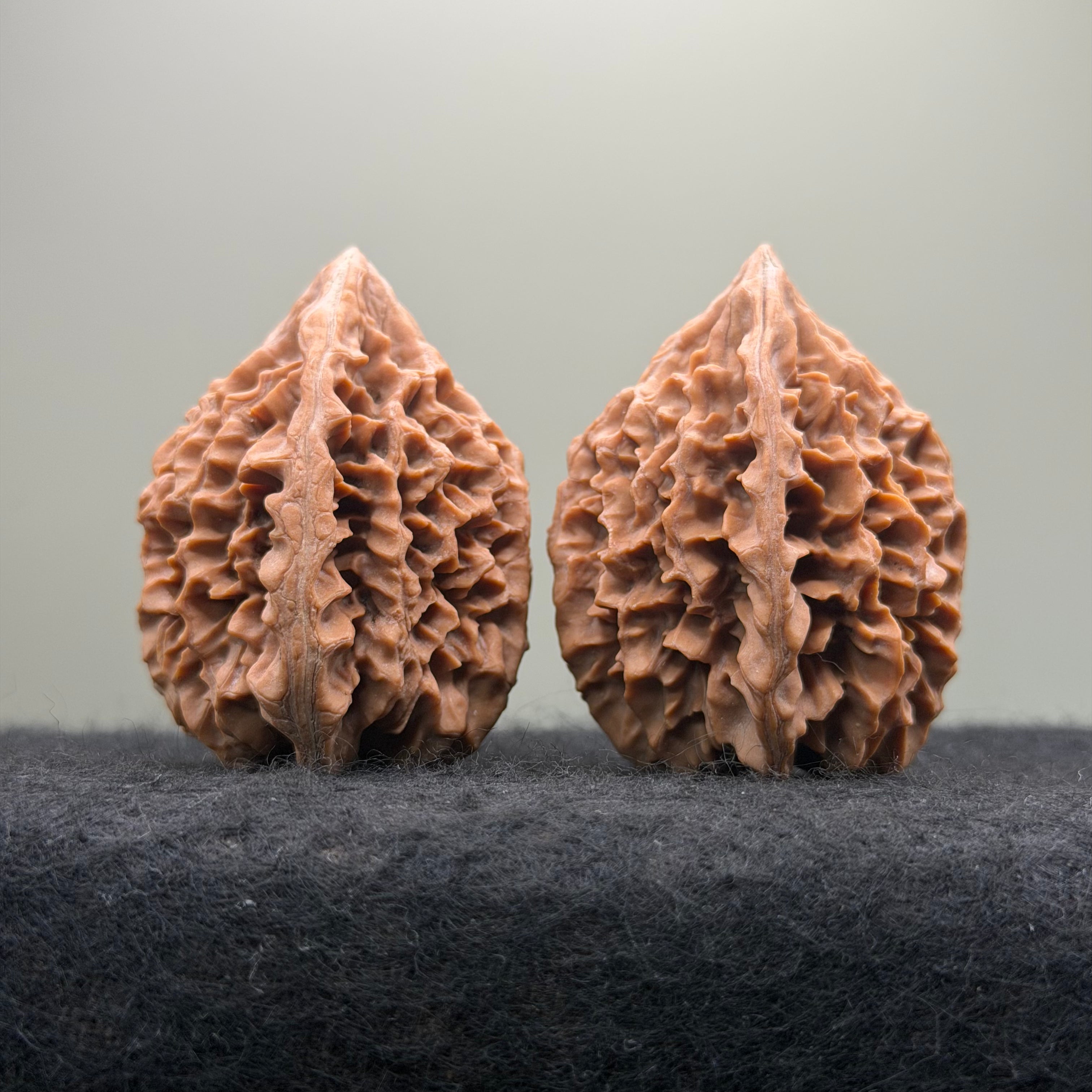Fortune Rat Wenwan Walnut · 53mm · Natural · Select Ritual