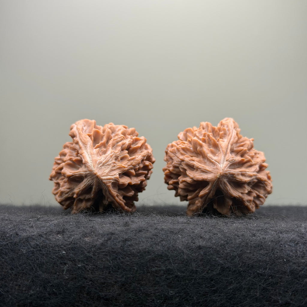 Fortune Rat Wenwan Walnut · 53mm · Natural · Select Ritual